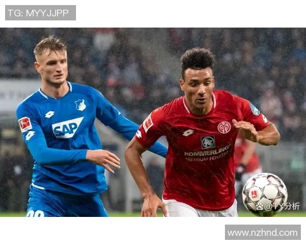 霍芬海姆球员伤病情况分析及对球队战绩的影响探讨